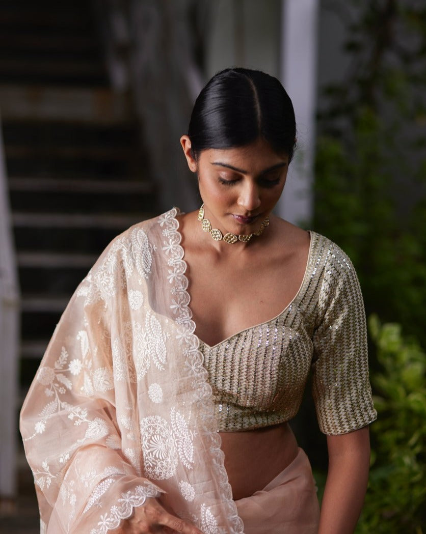 Saree Chikankari -Peach Pink/Silver - Mayura Kumar