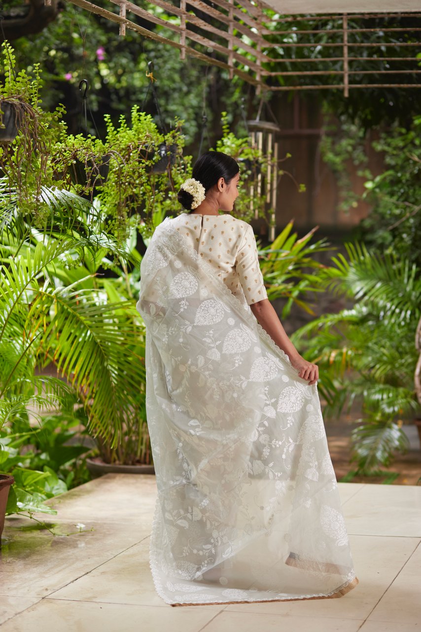 Saree Chikankari - Grey/Ivory - Mayura Kumar