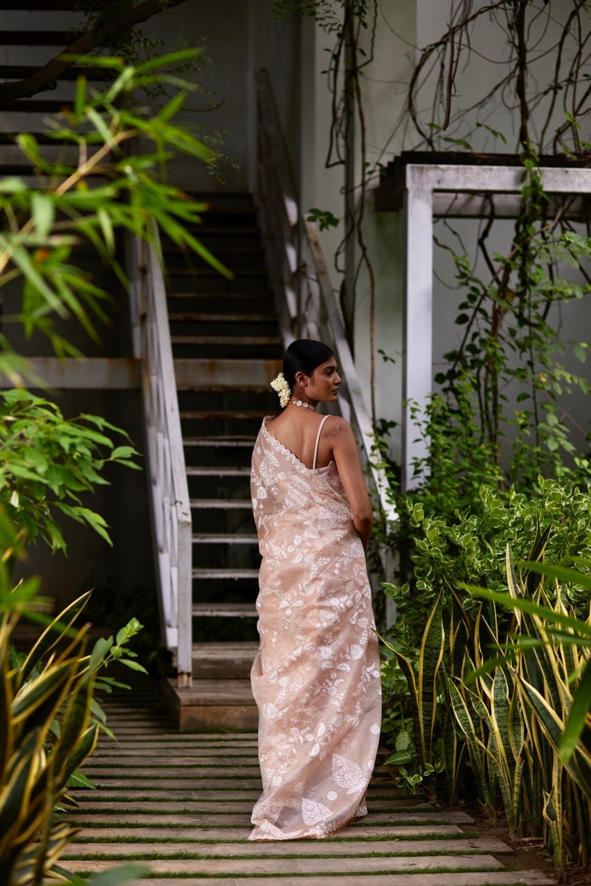 Saree Chikankari - Peach Pink/Ivory - Mayura Kumar