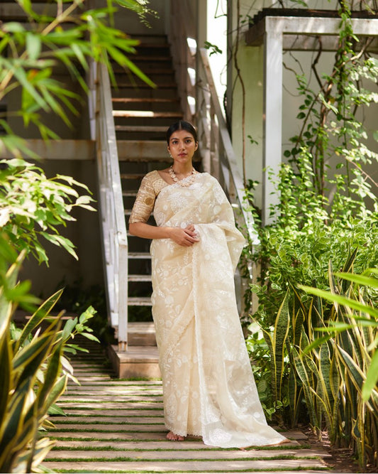 Saree Chikankari - Crème/Ivory - Mayura Kumar