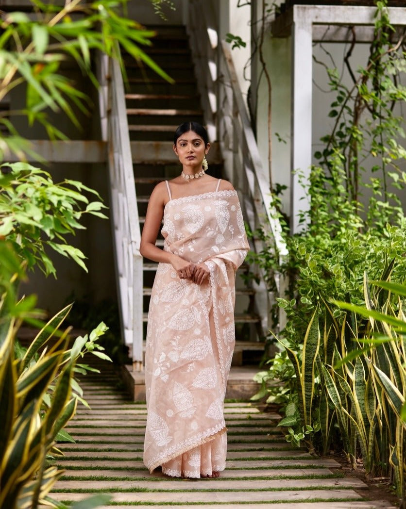 Saree Chikankari - Peach Pink/Ivory - Mayura Kumar